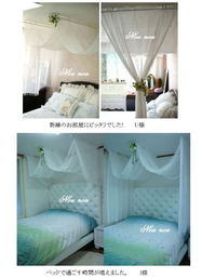 日本代購熱潮 從普羅旺斯篷白到佳能相機(jī)，多元化購物新選擇