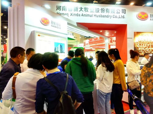 新大智道亮相中原畜牧業(yè)交易博覽會，信息咨詢服務引領(lǐng)養(yǎng)豬行業(yè)新變革