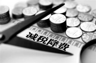 未央?yún)^(qū)正規(guī)教育科技公司快速注冊指南 聚焦西安通稅財(cái)務(wù)咨詢服務(wù)
