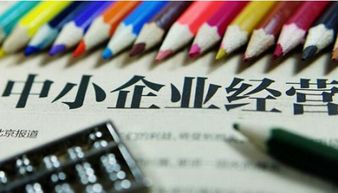 海南中小企業(yè)如何突破瓶頸期 科技中介服務(wù)的賦能之道
